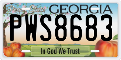 GA license plate PWS8683