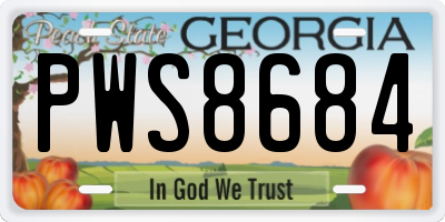 GA license plate PWS8684
