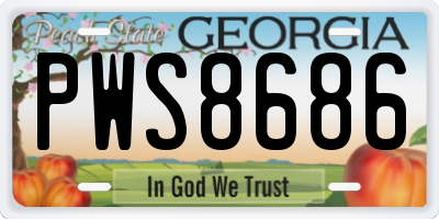 GA license plate PWS8686