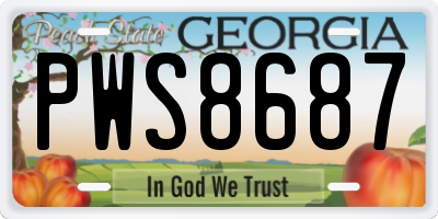 GA license plate PWS8687
