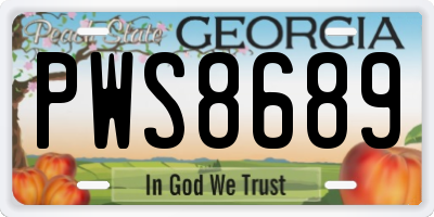 GA license plate PWS8689