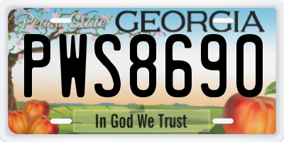 GA license plate PWS8690