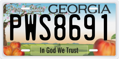 GA license plate PWS8691
