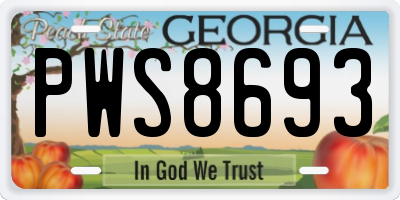 GA license plate PWS8693