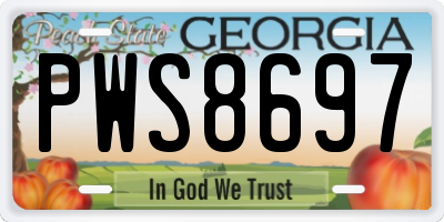 GA license plate PWS8697