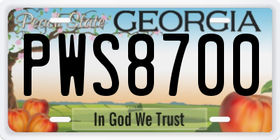 GA license plate PWS8700