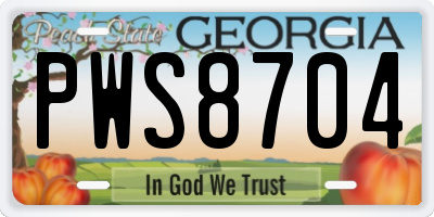 GA license plate PWS8704