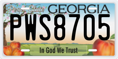 GA license plate PWS8705