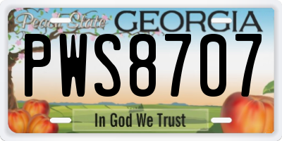 GA license plate PWS8707