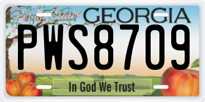 GA license plate PWS8709