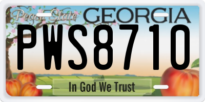 GA license plate PWS8710