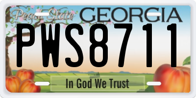 GA license plate PWS8711