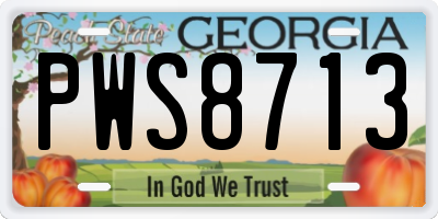 GA license plate PWS8713
