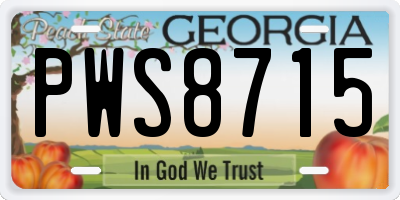 GA license plate PWS8715