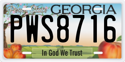 GA license plate PWS8716
