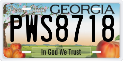 GA license plate PWS8718