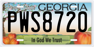 GA license plate PWS8720