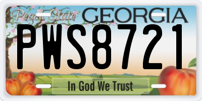 GA license plate PWS8721
