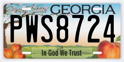 GA license plate PWS8724