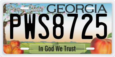 GA license plate PWS8725