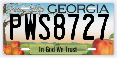 GA license plate PWS8727