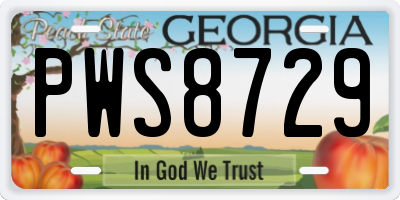 GA license plate PWS8729