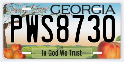 GA license plate PWS8730