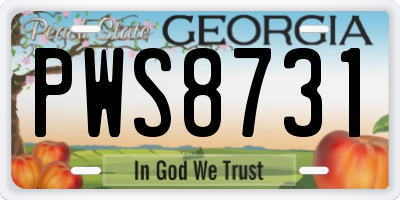 GA license plate PWS8731