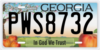 GA license plate PWS8732