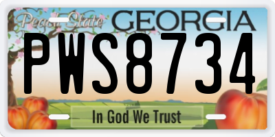 GA license plate PWS8734