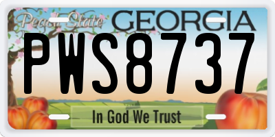 GA license plate PWS8737