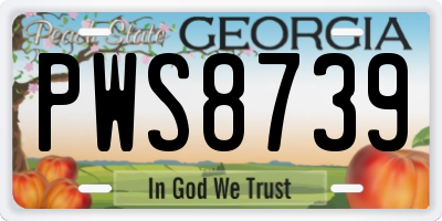 GA license plate PWS8739