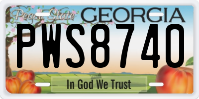 GA license plate PWS8740