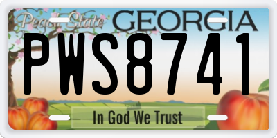 GA license plate PWS8741