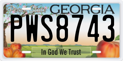 GA license plate PWS8743