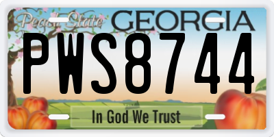 GA license plate PWS8744
