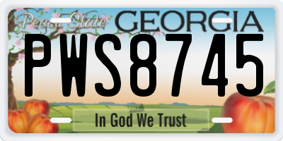 GA license plate PWS8745