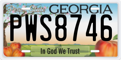 GA license plate PWS8746