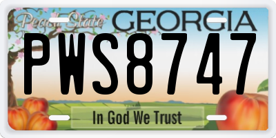 GA license plate PWS8747