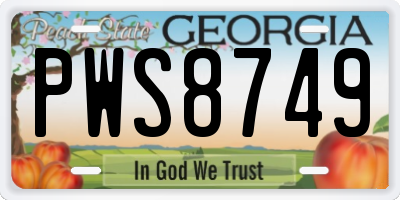 GA license plate PWS8749