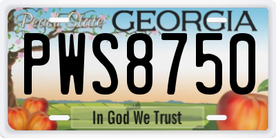 GA license plate PWS8750