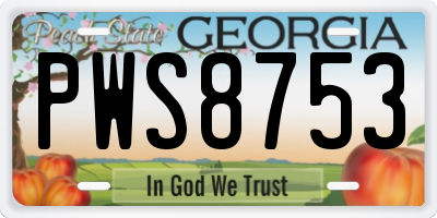 GA license plate PWS8753