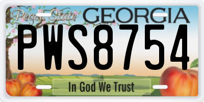 GA license plate PWS8754