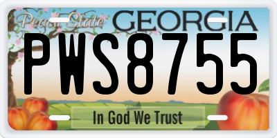 GA license plate PWS8755