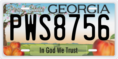 GA license plate PWS8756