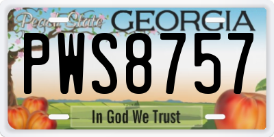 GA license plate PWS8757