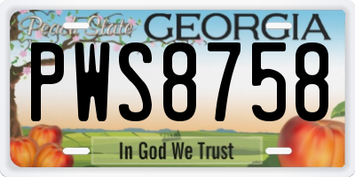 GA license plate PWS8758