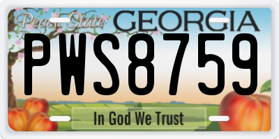GA license plate PWS8759