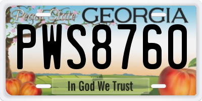 GA license plate PWS8760