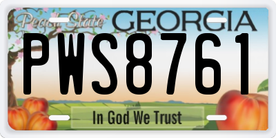 GA license plate PWS8761